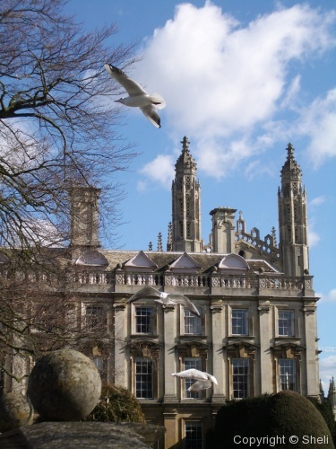 Cambridge - Photo 18
